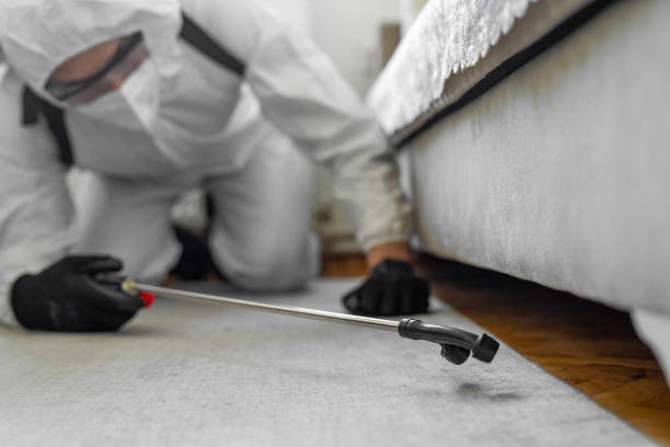 Professional Bed Bug Control technician working in Huntsville, TX
