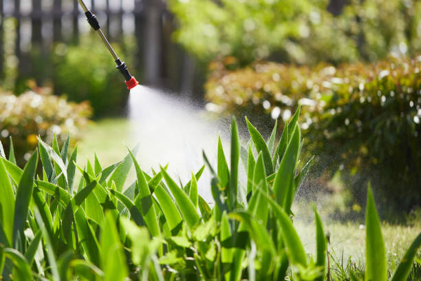 24/7 Emergency Bed Bug Control experts in Huntsville, TX