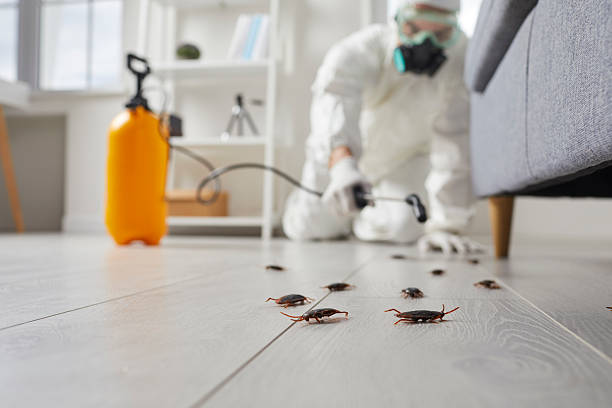 Trusted Fumigation Services service in Huntsville, TX - Nex Pest Control